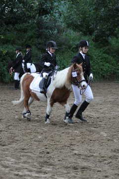 Bild 552 - WBO-Turnier am 18.9.11